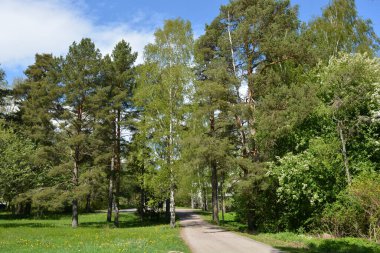 Büyük yeşil çayır, sarı karahindibalı çayır, büyük yaprak döken yeşil park ağaçları, yeşil köknar ve ladin. Parlak doğa Espoo şehrinin Hyljelahti bölgesinde yer almaktadır..