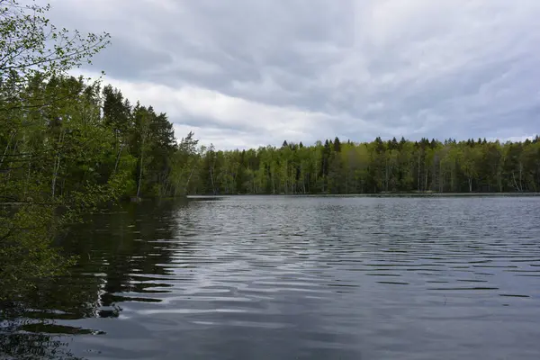 Hannusjrvi Gölü, Finlandiya 'nın Espoo şehrinin Hyljelahti bölgesinde yer alır. Gölün kumlu kıyısı, uzun köknar ağaçları, çalılar, eski ahşap kütükler, yeşil çimenler ve bitkilerle dolu yeşil orman..