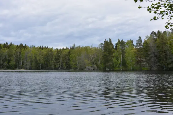 Hannusjrvi Gölü, Finlandiya 'nın Espoo şehrinin Hyljelahti bölgesinde yer alır. Gölün kumlu kıyısı, uzun köknar ağaçları, çalılar, eski ahşap kütükler, yeşil çimenler ve bitkilerle dolu yeşil orman..