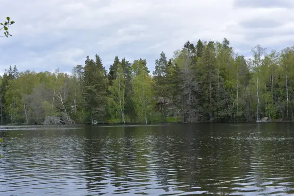 Hannusjrvi Gölü, Finlandiya 'nın Espoo şehrinin Hyljelahti bölgesinde yer alır. Gölün kumlu kıyısı, uzun köknar ağaçları, çalılar, eski ahşap kütükler, yeşil çimenler ve bitkilerle dolu yeşil orman..