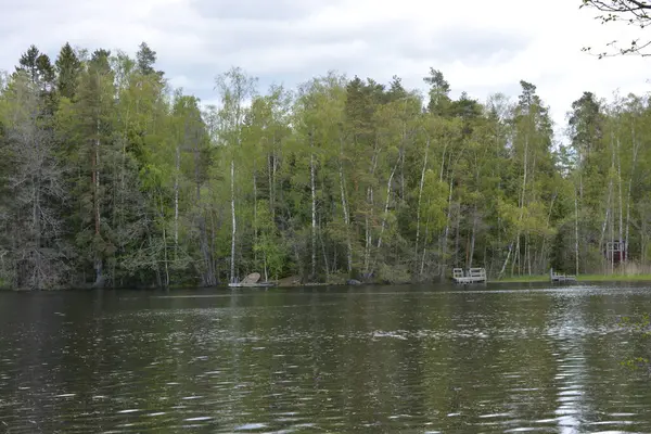 Hannusjrvi Gölü, Finlandiya 'nın Espoo şehrinin Hyljelahti bölgesinde yer alır. Gölün kumlu kıyısı, uzun köknar ağaçları, çalılar, eski ahşap kütükler, yeşil çimenler ve bitkilerle dolu yeşil orman..