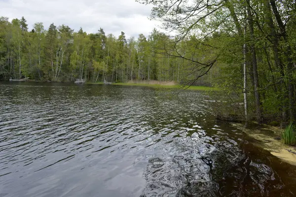 Hannusjrvi Gölü, Finlandiya 'nın Espoo şehrinin Hyljelahti bölgesinde yer alır. Gölün kumlu kıyısı, uzun köknar ağaçları, çalılar, eski ahşap kütükler, yeşil çimenler ve bitkilerle dolu yeşil orman..
