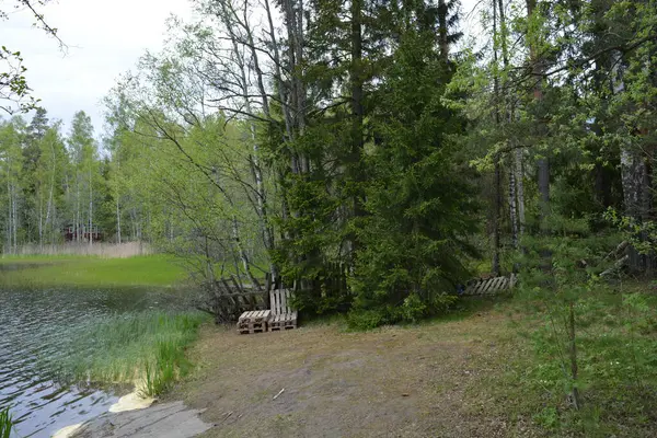 Hannusjrvi Gölü, Finlandiya 'nın Espoo şehrinin Hyljelahti bölgesinde yer alır. Gölün kumlu kıyısı, uzun köknar ağaçları, çalılar, eski ahşap kütükler, yeşil çimenler ve bitkilerle dolu yeşil orman..