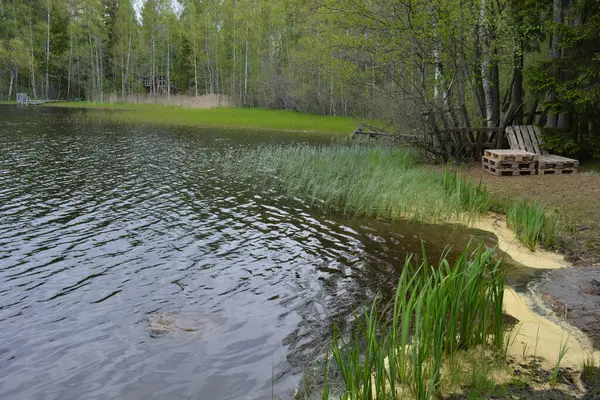 Hannusjrvi Gölü, Finlandiya 'nın Espoo şehrinin Hyljelahti bölgesinde yer alır. Gölün kumlu kıyısı, uzun köknar ağaçları, çalılar, eski ahşap kütükler, yeşil çimenler ve bitkilerle dolu yeşil orman..