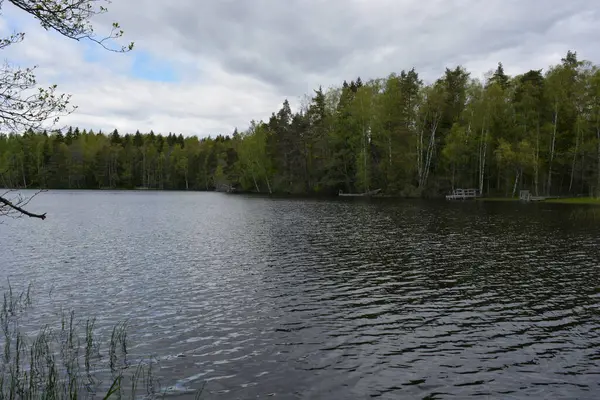 Hannusjrvi Gölü, Finlandiya 'nın Espoo şehrinin Hyljelahti bölgesinde yer alır. Gölün kumlu kıyısı, uzun köknar ağaçları, çalılar, eski ahşap kütükler, yeşil çimenler ve bitkilerle dolu yeşil orman..