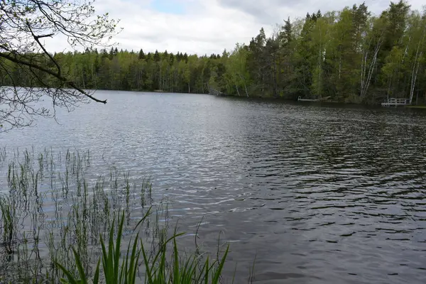 Hannusjrvi Gölü, Finlandiya 'nın Espoo şehrinin Hyljelahti bölgesinde yer alır. Gölün kumlu kıyısı, uzun köknar ağaçları, çalılar, eski ahşap kütükler, yeşil çimenler ve bitkilerle dolu yeşil orman..