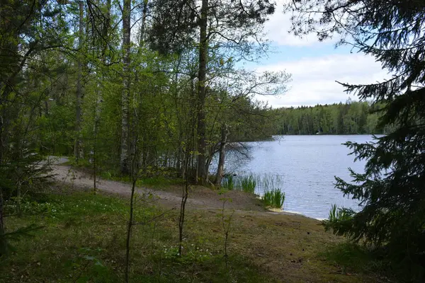 Hannusjrvi Gölü, Finlandiya 'nın Espoo şehrinin Hyljelahti bölgesinde yer alır. Gölün kumlu kıyısı, uzun köknar ağaçları, çalılar, eski ahşap kütükler, yeşil çimenler ve bitkilerle dolu yeşil orman..