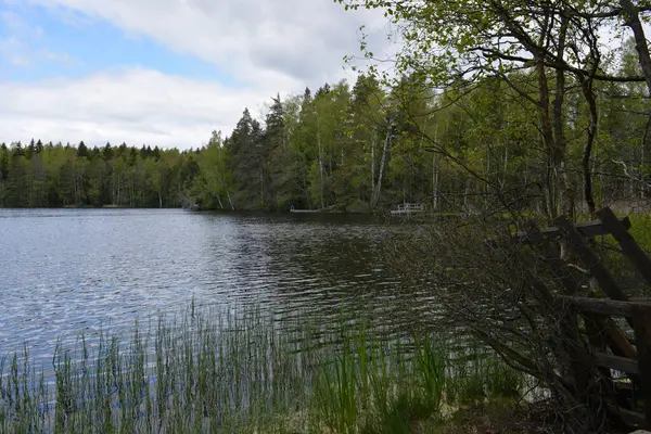 Hannusjrvi Gölü, Finlandiya 'nın Espoo şehrinin Hyljelahti bölgesinde yer alır. Gölün kumlu kıyısı, uzun köknar ağaçları, çalılar, eski ahşap kütükler, yeşil çimenler ve bitkilerle dolu yeşil orman..