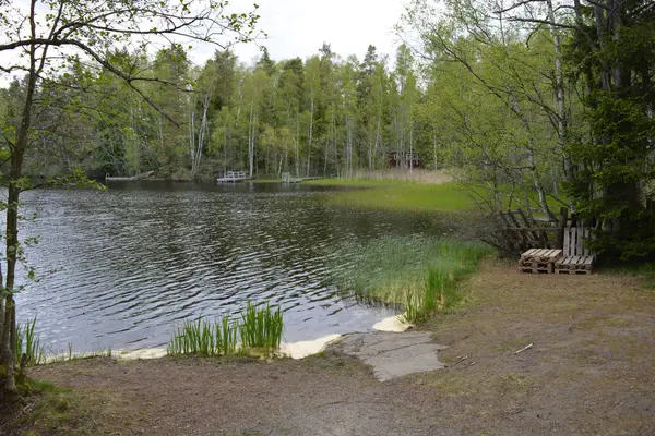 Hannusjrvi Gölü, Finlandiya 'nın Espoo şehrinin Hyljelahti bölgesinde yer alır. Gölün kumlu kıyısı, uzun köknar ağaçları, çalılar, eski ahşap kütükler, yeşil çimenler ve bitkilerle dolu yeşil orman..