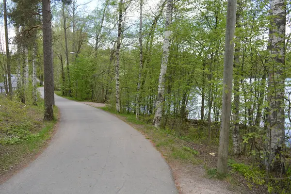 Hannusjrvi Gölü, Finlandiya 'nın Espoo şehrinin Hyljelahti bölgesinde yer alır. Gölün kumlu kıyısı, uzun köknar ağaçları, çalılar, eski ahşap kütükler, yeşil çimenler ve bitkilerle dolu yeşil orman..