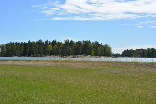Finlandiya körfezinin doğası, Finlandiya 'nın Espoo şehrinin Hyljelahti bölgesinde. Güzel sarı kumları, temiz suları, yeşil sazlıkları, büyük taşları, uzun yeşil köknar ağaçları, mavi gökyüzü boyunca uzanan ladin ağaçları olan yerel bir sahil..