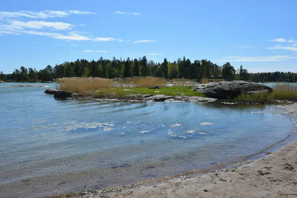 Finlandiya körfezinin doğası, Finlandiya 'nın Espoo şehrinin Hyljelahti bölgesinde. Güzel sarı kumları, temiz suları, yeşil sazlıkları, büyük taşları, uzun yeşil köknar ağaçları, mavi gökyüzü boyunca uzanan ladin ağaçları olan yerel bir sahil..