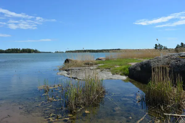 Finlandiya körfezinin doğası, Finlandiya 'nın Espoo şehrinin Hyljelahti bölgesinde. Güzel sarı kumları, temiz suları, yeşil sazlıkları, büyük taşları, uzun yeşil köknar ağaçları, mavi gökyüzü boyunca uzanan ladin ağaçları olan yerel bir sahil..