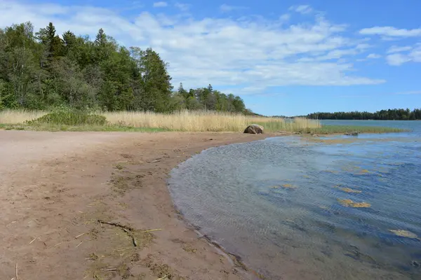 Finlandiya körfezinin doğası, Finlandiya 'nın Espoo şehrinin Hyljelahti bölgesinde. Güzel sarı kumları, temiz suları, yeşil sazlıkları, büyük taşları, uzun yeşil köknar ağaçları, mavi gökyüzü boyunca uzanan ladin ağaçları olan yerel bir sahil..