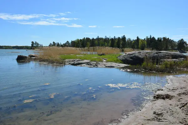 Finlandiya körfezinin doğası, Finlandiya 'nın Espoo şehrinin Hyljelahti bölgesinde. Güzel sarı kumları, temiz suları, yeşil sazlıkları, büyük taşları, uzun yeşil köknar ağaçları, mavi gökyüzü boyunca uzanan ladin ağaçları olan yerel bir sahil..
