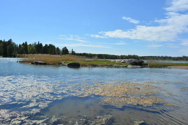 Finlandiya körfezinin doğası, Finlandiya 'nın Espoo şehrinin Hyljelahti bölgesinde. Güzel sarı kumları, temiz suları, yeşil sazlıkları, büyük taşları, uzun yeşil köknar ağaçları, mavi gökyüzü boyunca uzanan ladin ağaçları olan yerel bir sahil..