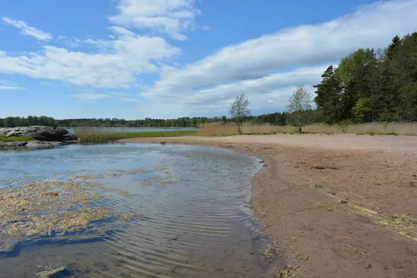 Finlandiya körfezinin doğası, Finlandiya 'nın Espoo şehrinin Hyljelahti bölgesinde. Güzel sarı kumları, temiz suları, yeşil sazlıkları, büyük taşları, uzun yeşil köknar ağaçları, mavi gökyüzü boyunca uzanan ladin ağaçları olan yerel bir sahil..