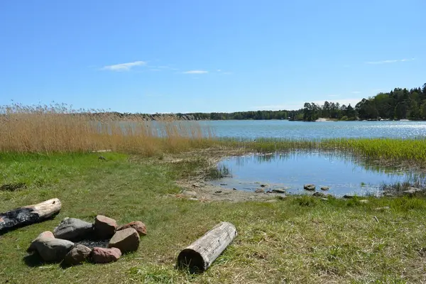 Finlandiya körfezinin doğası, Finlandiya 'nın Espoo şehrinin Hyljelahti bölgesinde. Güzel sarı kumları, temiz suları, yeşil sazlıkları, büyük taşları, uzun yeşil köknar ağaçları, mavi gökyüzü boyunca uzanan ladin ağaçları olan yerel bir sahil..