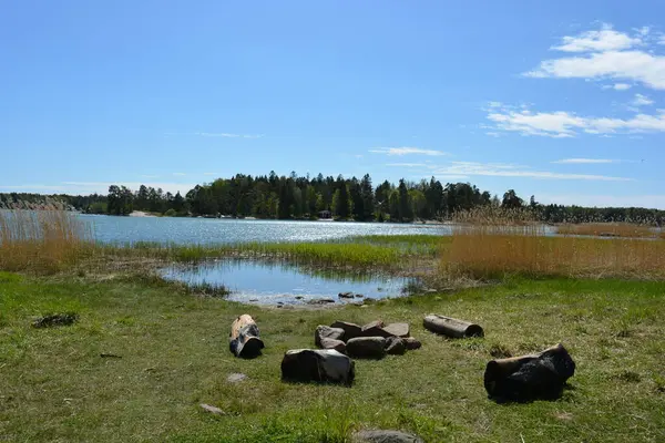 Finlandiya körfezinin doğası, Finlandiya 'nın Espoo şehrinin Hyljelahti bölgesinde. Güzel sarı kumları, temiz suları, yeşil sazlıkları, büyük taşları, uzun yeşil köknar ağaçları, mavi gökyüzü boyunca uzanan ladin ağaçları olan yerel bir sahil..