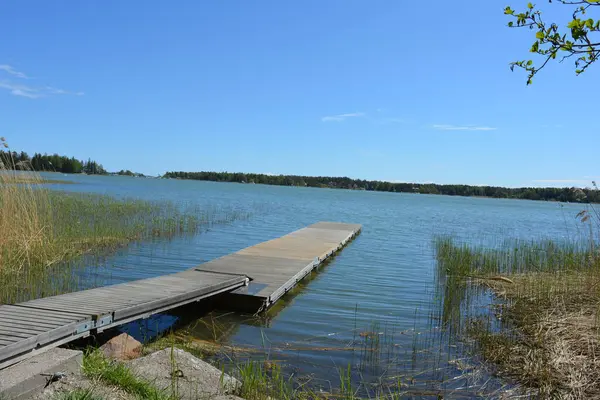 Finlandiya körfezinin doğası, Finlandiya 'nın Espoo şehrinin Hyljelahti bölgesinde. Güzel sarı kumları, temiz suları, yeşil sazlıkları, büyük taşları, uzun yeşil köknar ağaçları, mavi gökyüzü boyunca uzanan ladin ağaçları olan yerel bir sahil..