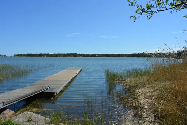 Finlandiya körfezinin doğası, Finlandiya 'nın Espoo şehrinin Hyljelahti bölgesinde. Güzel sarı kumları, temiz suları, yeşil sazlıkları, büyük taşları, uzun yeşil köknar ağaçları, mavi gökyüzü boyunca uzanan ladin ağaçları olan yerel bir sahil..