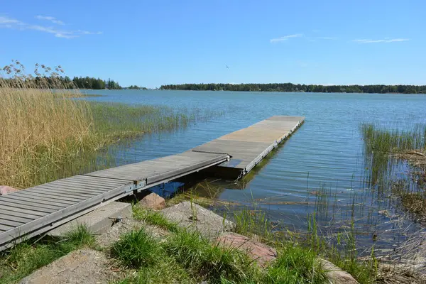 Finlandiya körfezinin doğası, Finlandiya 'nın Espoo şehrinin Hyljelahti bölgesinde. Güzel sarı kumları, temiz suları, yeşil sazlıkları, büyük taşları, uzun yeşil köknar ağaçları, mavi gökyüzü boyunca uzanan ladin ağaçları olan yerel bir sahil..