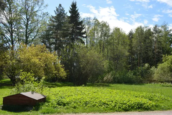 Büyük yeşil çayır, sarı karahindibalı çayır, büyük yaprak döken yeşil park ağaçları, yeşil köknar ve ladin. Parlak doğa Espoo şehrinin Hyljelahti bölgesinde yer almaktadır..