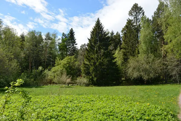 Büyük yeşil çayır, sarı karahindibalı çayır, büyük yaprak döken yeşil park ağaçları, yeşil köknar ve ladin. Parlak doğa Espoo şehrinin Hyljelahti bölgesinde yer almaktadır..