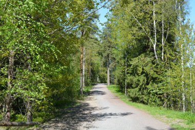 Finlandiya 'nın Espoo şehrinde güzel caddeler, otoyollar, yollar ve rotalar manzarası vardır. Girişleri olan güzel özel evler, yeşil çimenler, çalılar, yeşil yapraklı ağaçlar, kaldırım boyunca büyüyen ince köknarlar, yollar..