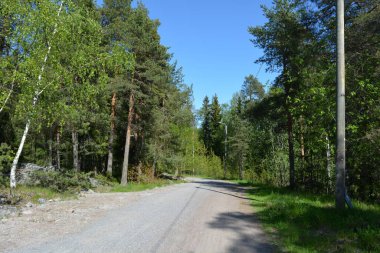 Finlandiya 'nın Espoo şehrinde güzel caddeler, otoyollar, yollar ve rotalar manzarası vardır. Girişleri olan güzel özel evler, yeşil çimenler, çalılar, yeşil yapraklı ağaçlar, kaldırım boyunca büyüyen ince köknarlar, yollar..