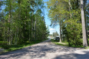 Finlandiya 'nın Espoo şehrinde güzel caddeler, otoyollar, yollar ve rotalar manzarası vardır. Girişleri olan güzel özel evler, yeşil çimenler, çalılar, yeşil yapraklı ağaçlar, kaldırım boyunca büyüyen ince köknarlar, yollar..