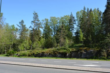 Finlandiya 'nın Espoo şehrinde güzel caddeler, otoyollar, yollar ve rotalar manzarası vardır. Girişleri olan güzel özel evler, yeşil çimenler, çalılar, yeşil yapraklı ağaçlar, kaldırım boyunca büyüyen ince köknarlar, yollar..