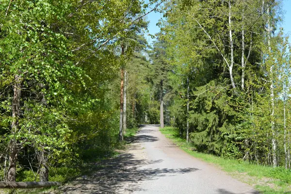 Finlandiya 'nın Espoo şehrinde güzel caddeler, otoyollar, yollar ve rotalar manzarası vardır. Girişleri olan güzel özel evler, yeşil çimenler, çalılar, yeşil yapraklı ağaçlar, kaldırım boyunca büyüyen ince köknarlar, yollar..