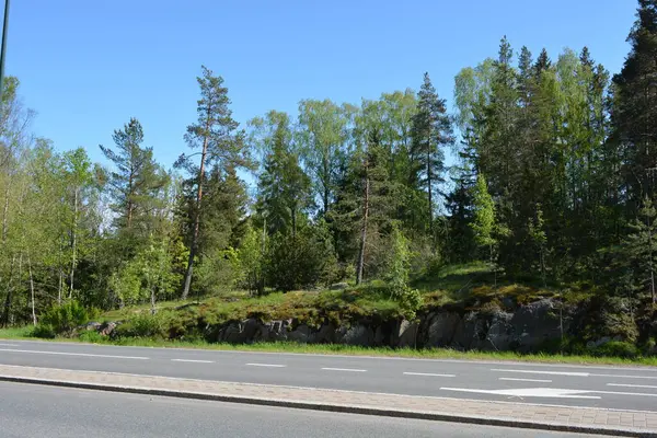 Finlandiya 'nın Espoo şehrinde güzel caddeler, otoyollar, yollar ve rotalar manzarası vardır. Girişleri olan güzel özel evler, yeşil çimenler, çalılar, yeşil yapraklı ağaçlar, kaldırım boyunca büyüyen ince köknarlar, yollar..