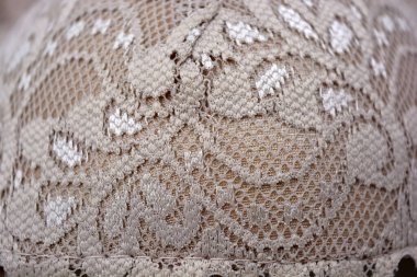 Güzel, zarif, kahverengi dantel kumaş. Çiçekler ve desenler beyaz arka planda..