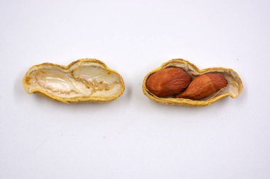 Lezzetli ve kullanışlı fındıklar, kabuğunda kurumuş kahverengi fıstıklar, kabuk beyaz arka planda reddedildi..