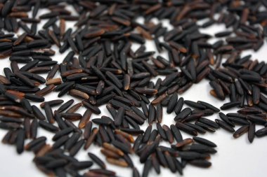 Beyaz arka planda yetişen istenmeyen yakışıklı siyah pirinç..