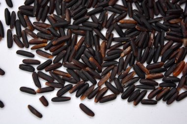 Beyaz arka planda yetişen istenmeyen yakışıklı siyah pirinç..