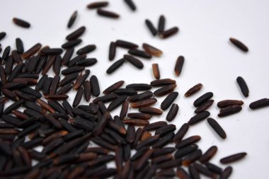 Beyaz arka planda yetişen istenmeyen yakışıklı siyah pirinç..