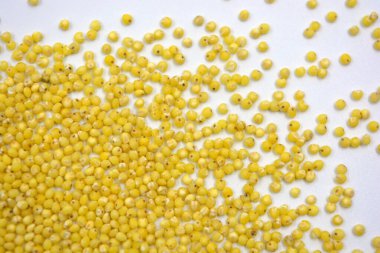 Çok sağlıklı ve kullanışlı homurtular, beyaz bir arka plana saçılmış sarı darılar. Bu mısır gevreğindeki yulaf lapası vücuttaki toksinleri temizler..