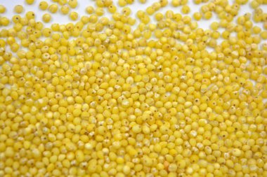 Çok sağlıklı ve kullanışlı homurtular, beyaz bir arka plana saçılmış sarı darılar. Bu mısır gevreğindeki yulaf lapası vücuttaki toksinleri temizler..