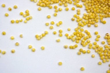 Çok sağlıklı ve kullanışlı homurtular, beyaz bir arka plana saçılmış sarı darılar. Bu mısır gevreğindeki yulaf lapası vücuttaki toksinleri temizler..