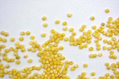 Çok sağlıklı ve kullanışlı homurtular, beyaz bir arka plana saçılmış sarı darılar. Bu mısır gevreğindeki yulaf lapası vücuttaki toksinleri temizler..