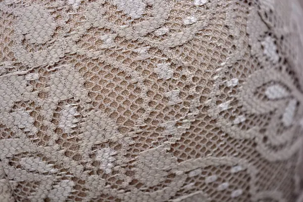 Güzel, zarif, kahverengi dantel kumaş. Çiçekler ve desenler beyaz arka planda..