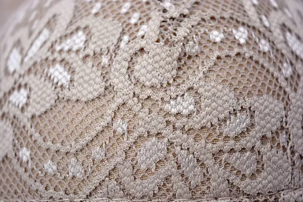 Güzel, zarif, kahverengi dantel kumaş. Çiçekler ve desenler beyaz arka planda..