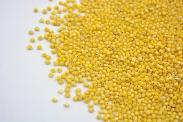 Çok sağlıklı ve kullanışlı homurtular, beyaz bir arka plana saçılmış sarı darılar. Bu mısır gevreğindeki yulaf lapası vücuttaki toksinleri temizler..