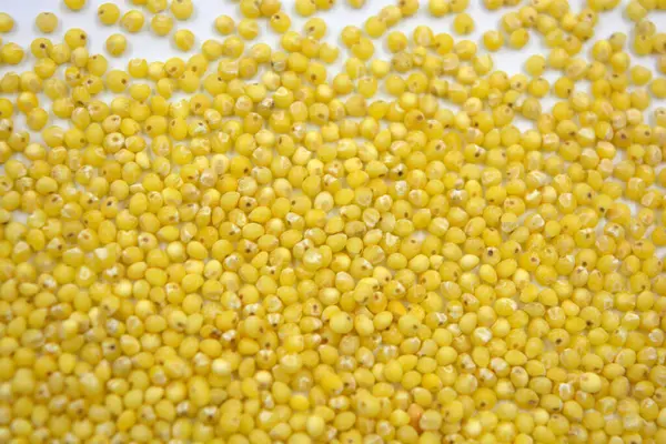 Çok sağlıklı ve kullanışlı homurtular, beyaz bir arka plana saçılmış sarı darılar. Bu mısır gevreğindeki yulaf lapası vücuttaki toksinleri temizler..