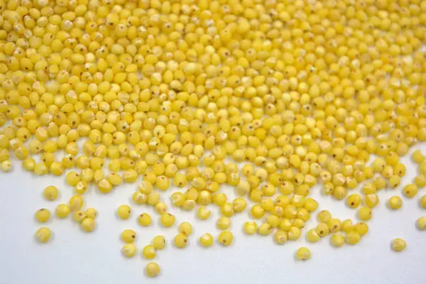 Çok sağlıklı ve kullanışlı homurtular, beyaz bir arka plana saçılmış sarı darılar. Bu mısır gevreğindeki yulaf lapası vücuttaki toksinleri temizler..