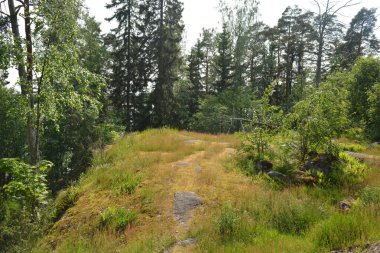 Parlak, güzel doğa, Finlandiya 'nın Espoo şehrinin sıradışı manzaraları. Büyük gri kahverengi taşlar, Finlandiya Körfezi 'nin mavi suyu, büyük yeşil ağaçlar, çamlar, gökyüzüne karşı ateşler..