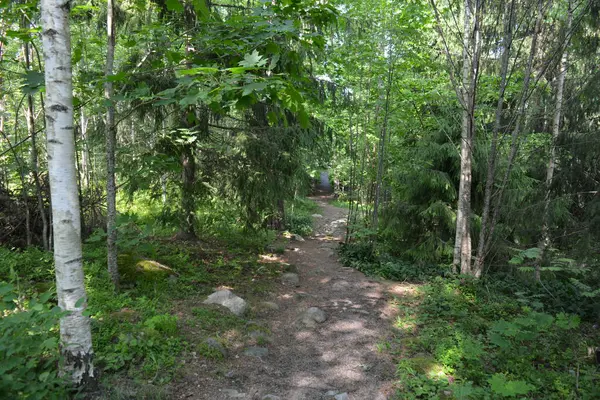 Parlak, güzel doğa, Finlandiya 'nın Espoo şehrinin sıradışı manzaraları. Büyük gri kahverengi taşlar, Finlandiya Körfezi 'nin mavi suyu, büyük yeşil ağaçlar, çamlar, gökyüzüne karşı ateşler..